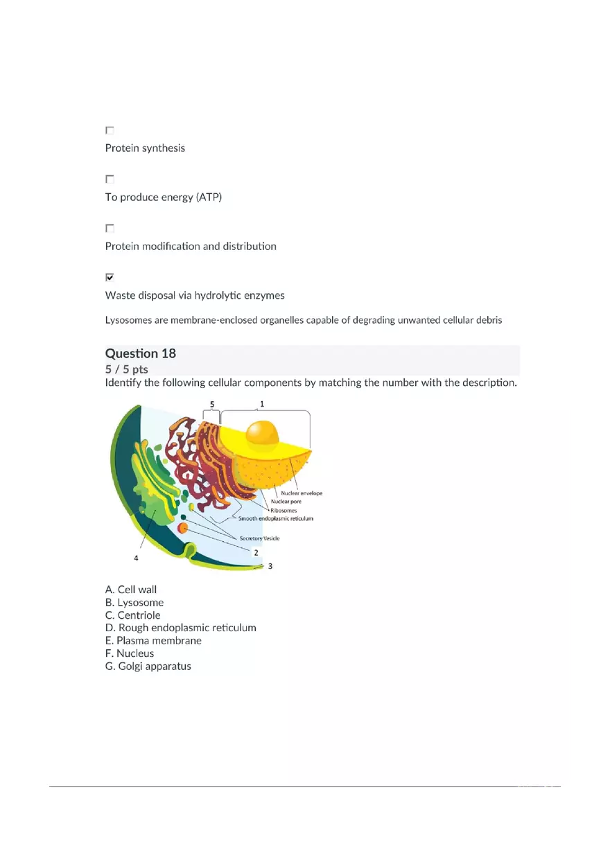 Essential Microbiology Full Exam 1 - Page 7