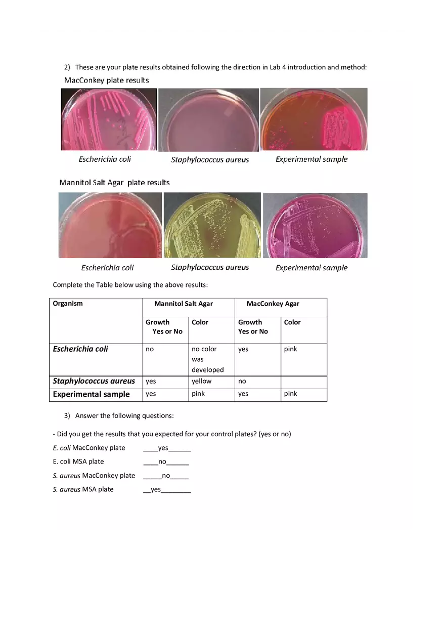 Special Media for Isolating Bacteria Analysis - Page 2
