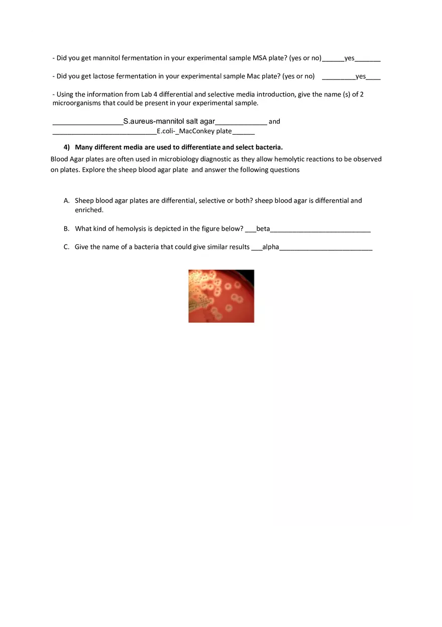 Special Media for Isolating Bacteria Analysis - Page 3