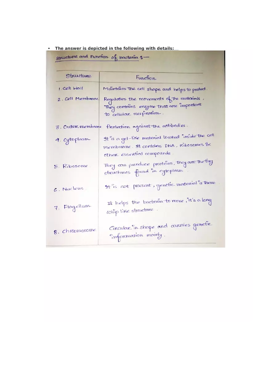 Concept Map On Bacteria - Page 1