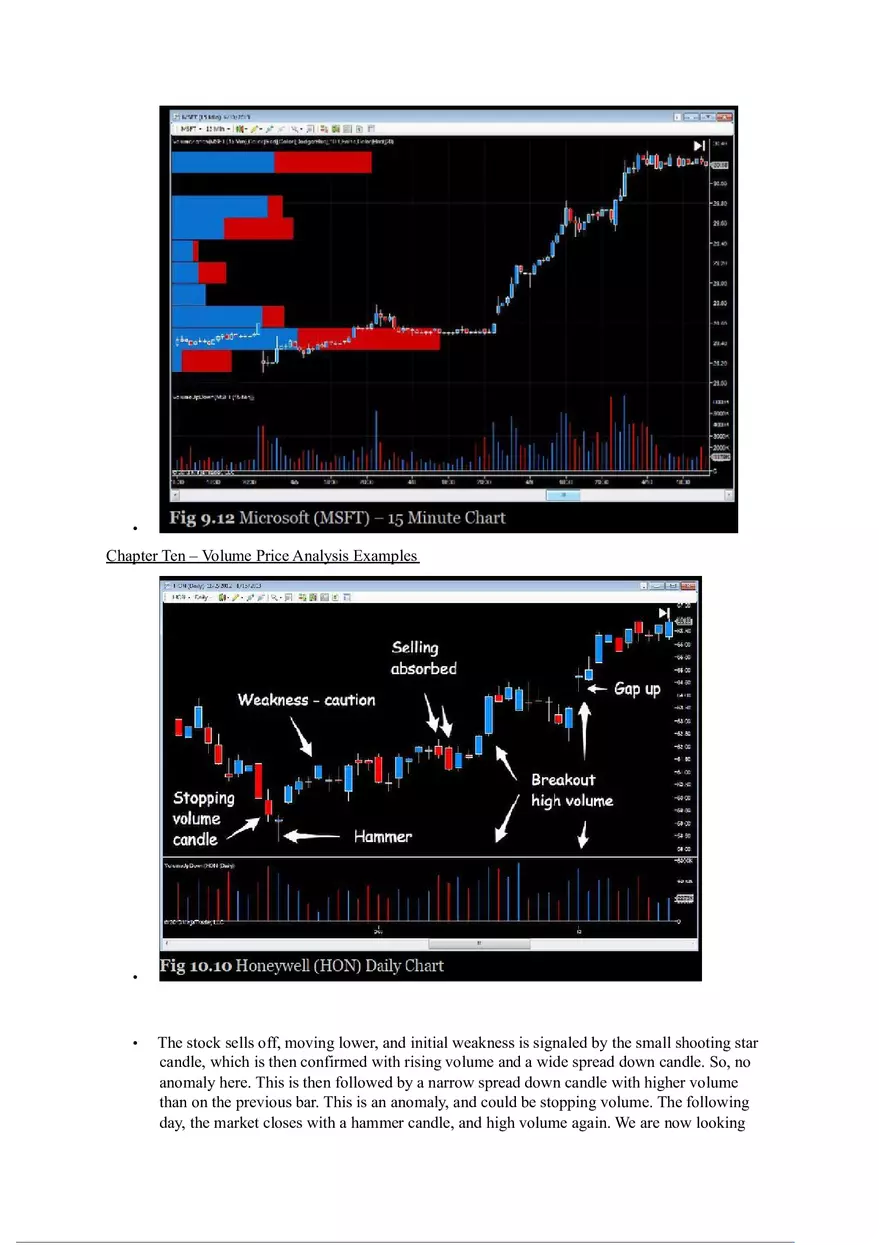 A Complete Guide to Volume Price Analysis Part 6 - Page 8