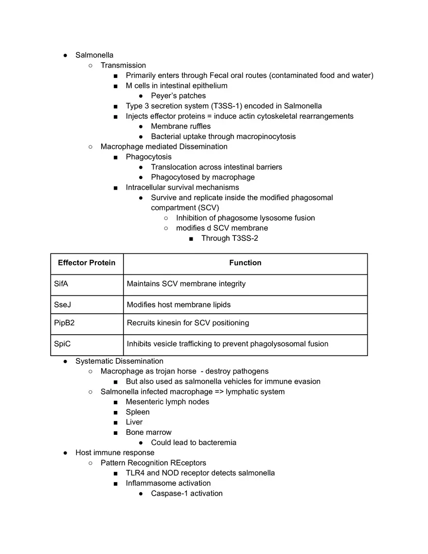Salmonella Macrophage - Page 1