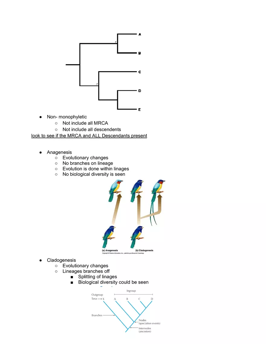 Monophyletic vs Non-monophyletic - Page 2