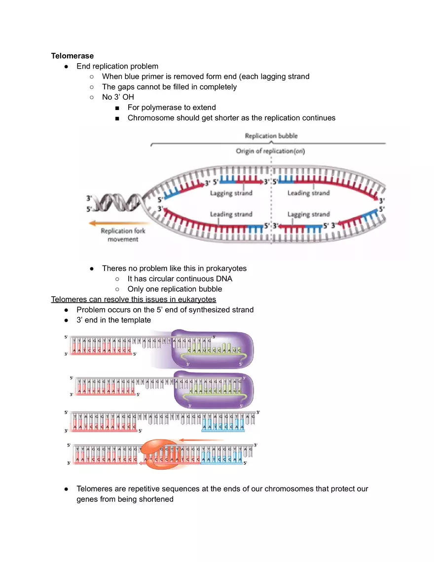 Telomerase - Page 1