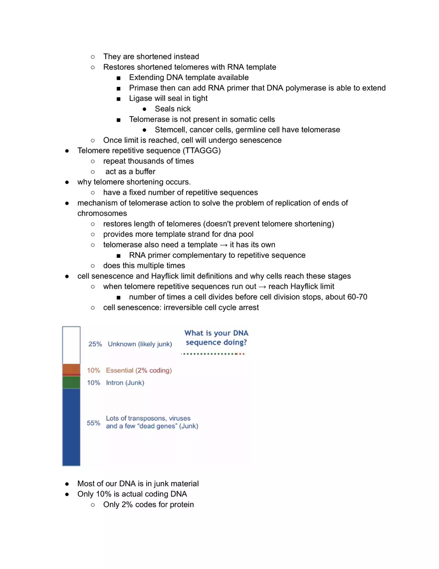 Telomerase - Page 2
