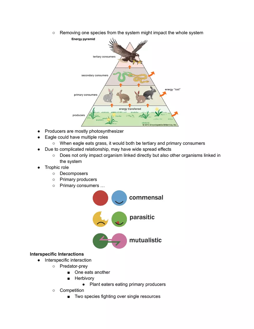 Factors Affecting Population Growth - Page 2