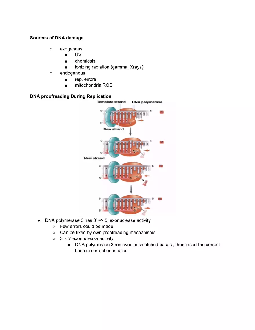 Sources of DNA Damage - Page 1