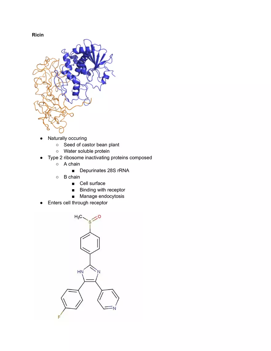 Ricin Study Notes - Page 1