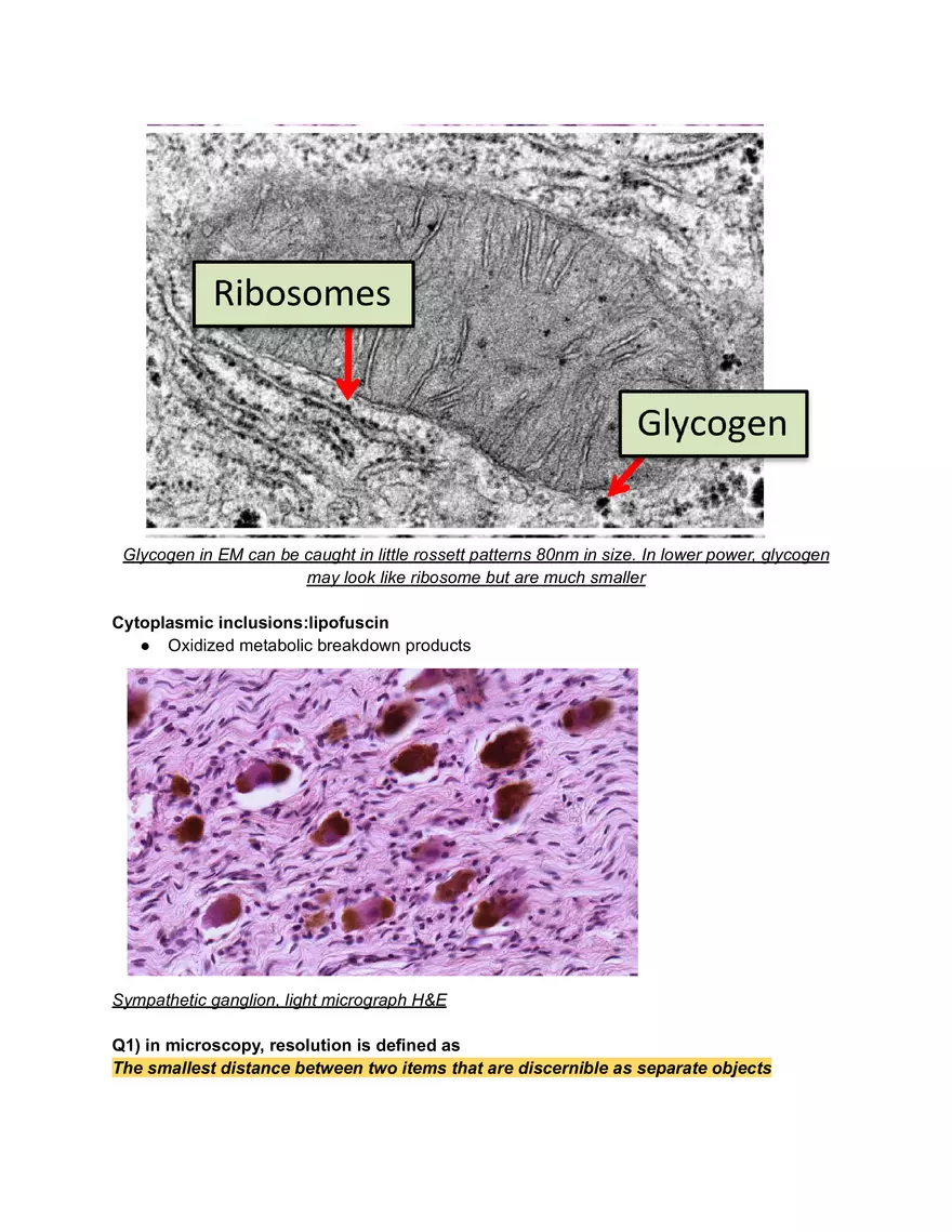 Midterm Prep Plasma Membrane Proteins - Page 12