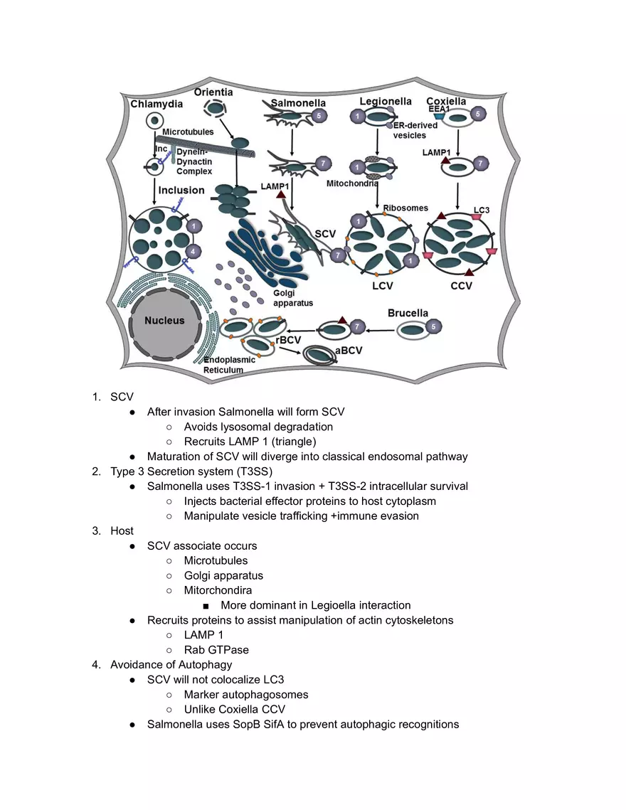 SCV Diagram Break Down - Page 1