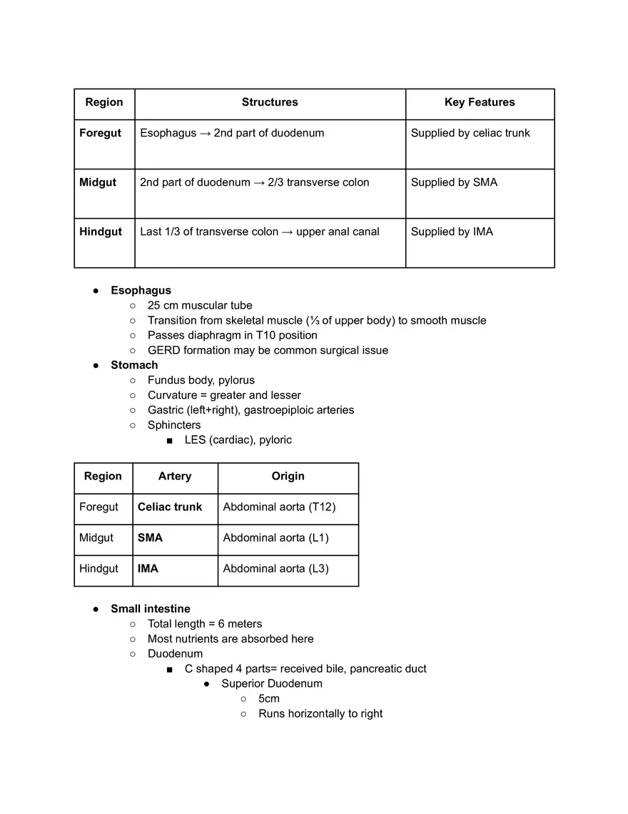Gi Tract Anatomy - Upper Half - Page 1