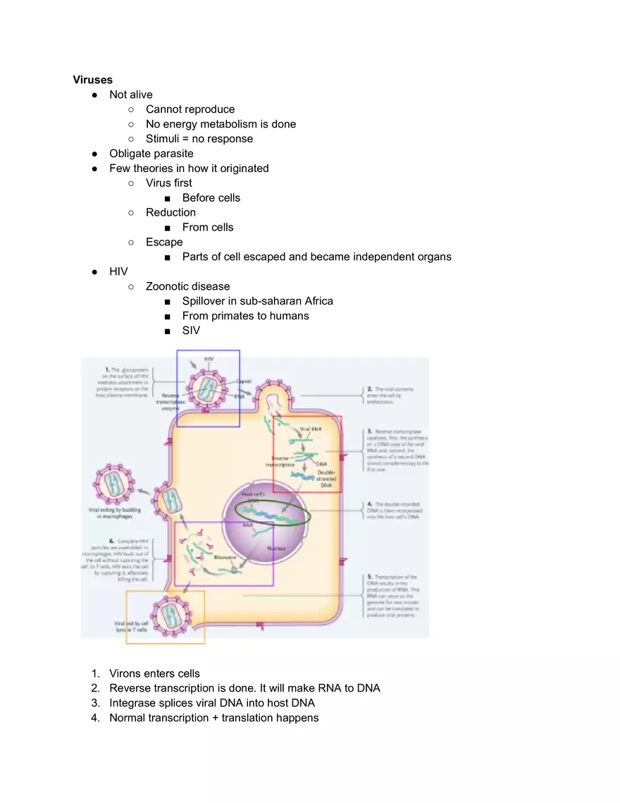 Viruses, Evolution, and Falsifiability - Page 1
