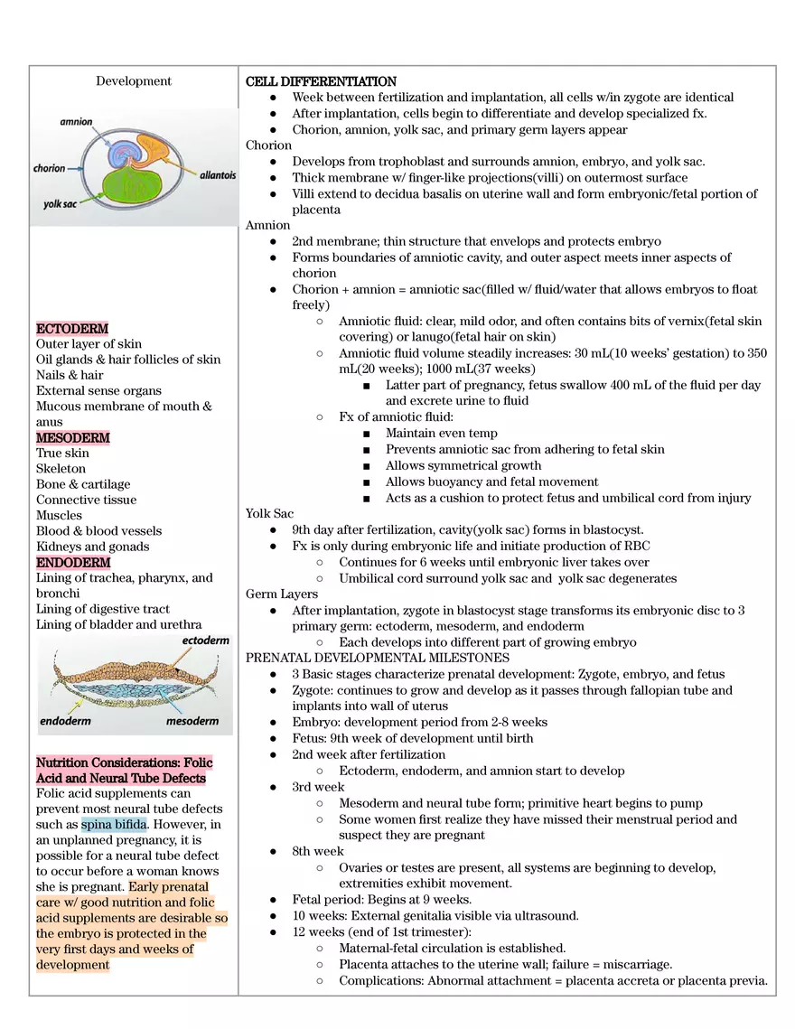 Term 3 Quiz #1 - Page 13