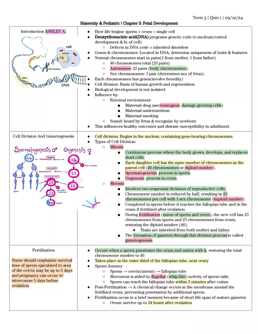 Term 3 Quiz #1 - Page 1