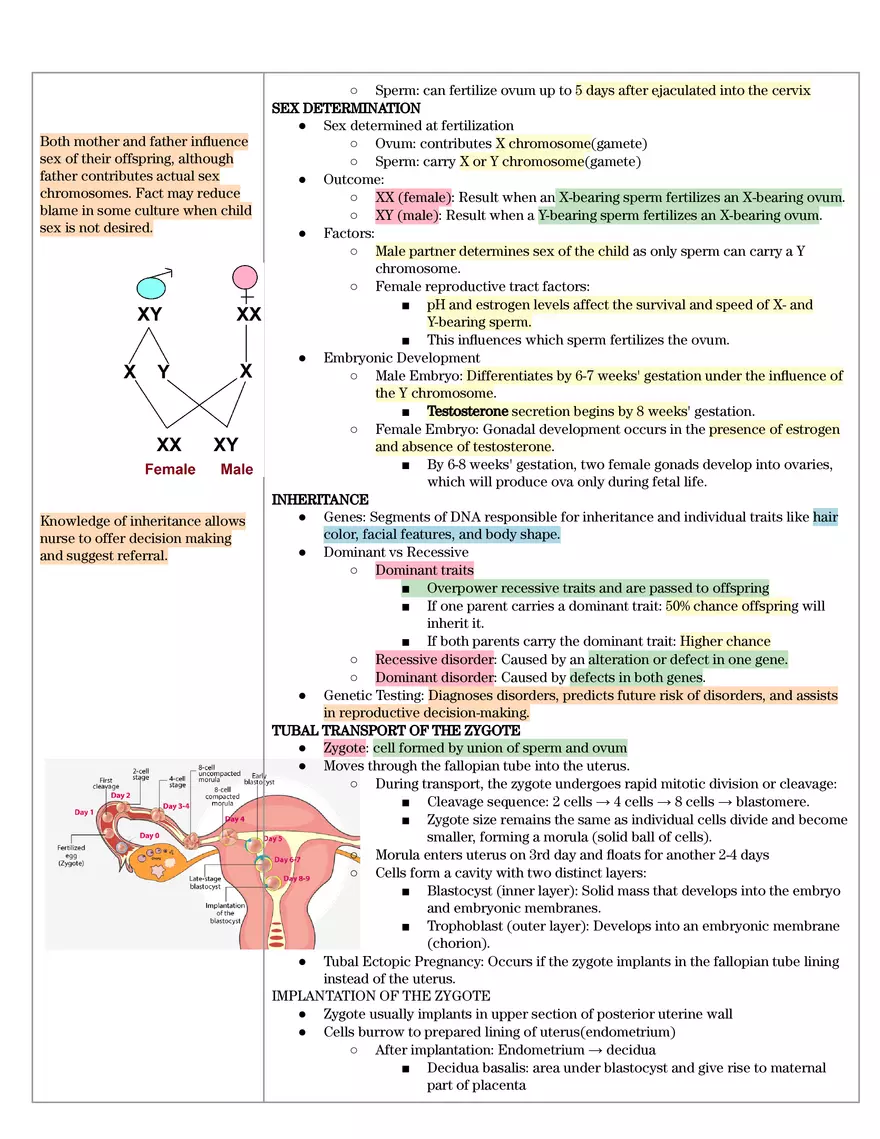 Term 3 Quiz #1 - Page 2