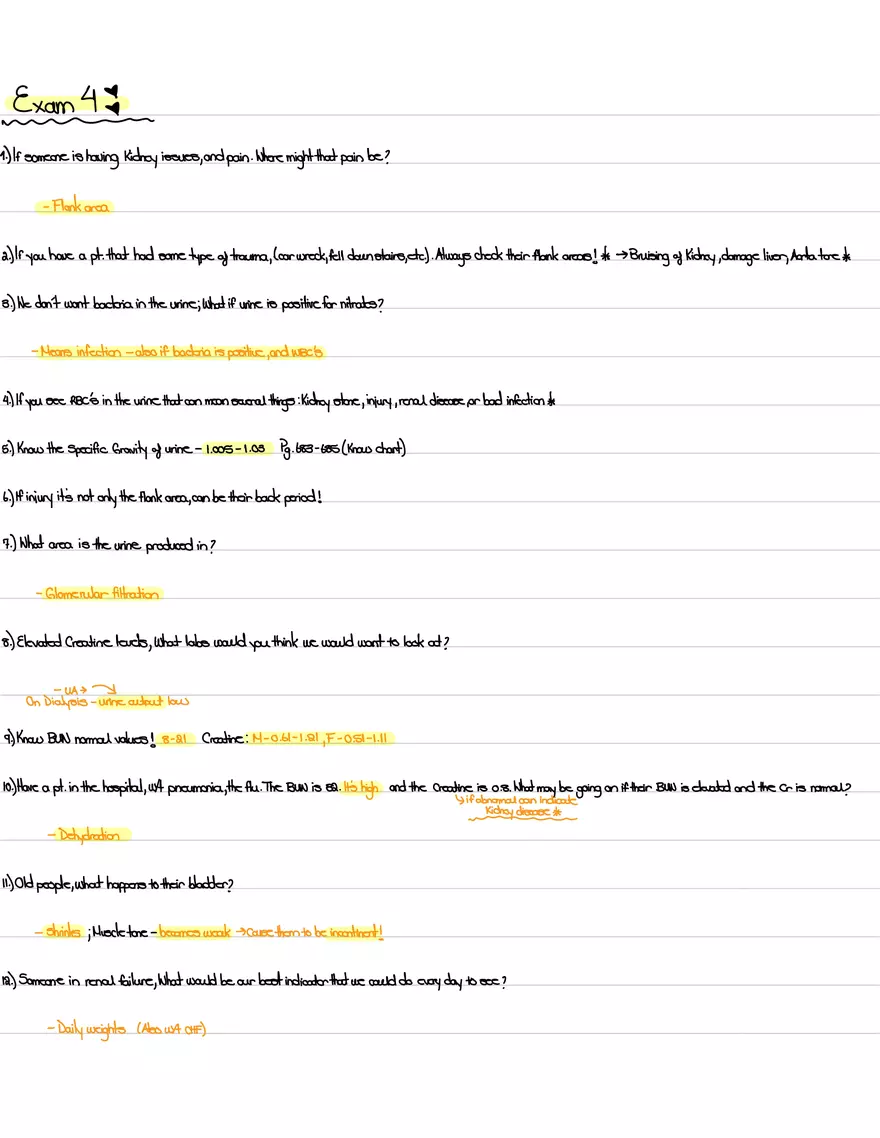 Exam 4 Review: Renal System - Page 1