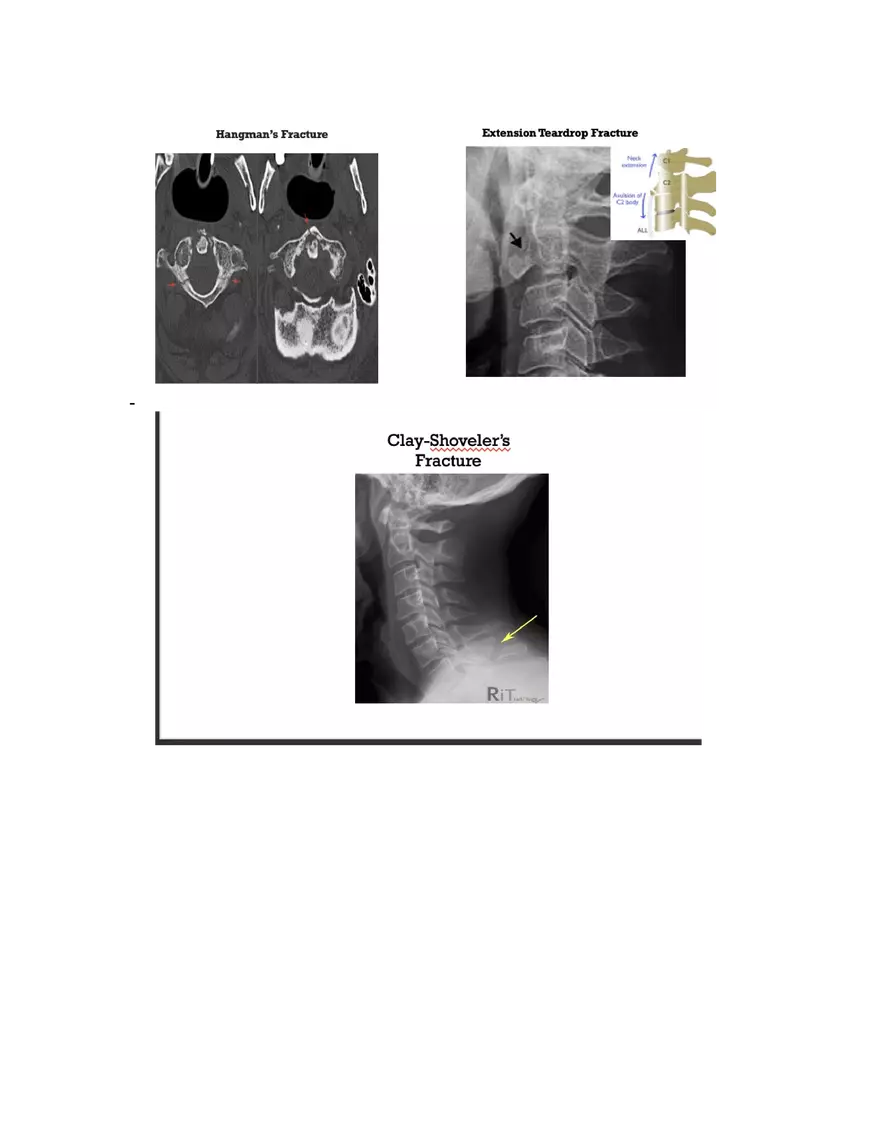 First Exam and SG - Page 9