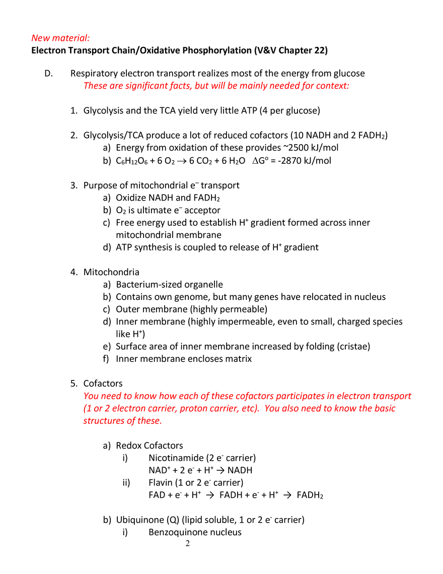 Exam 3 Review Metabolism and Energy Production - Page 2