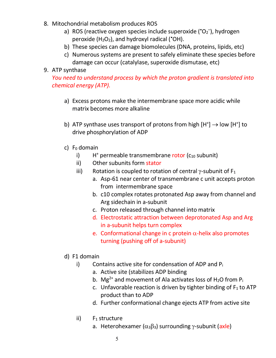 Exam 3 Review Metabolism and Energy Production - Page 6