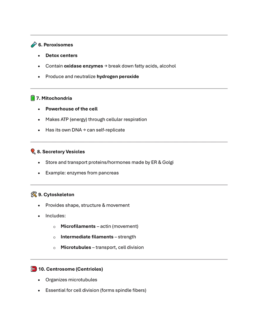 Short Summary: Cell Organelles & Their Functions - Page 2