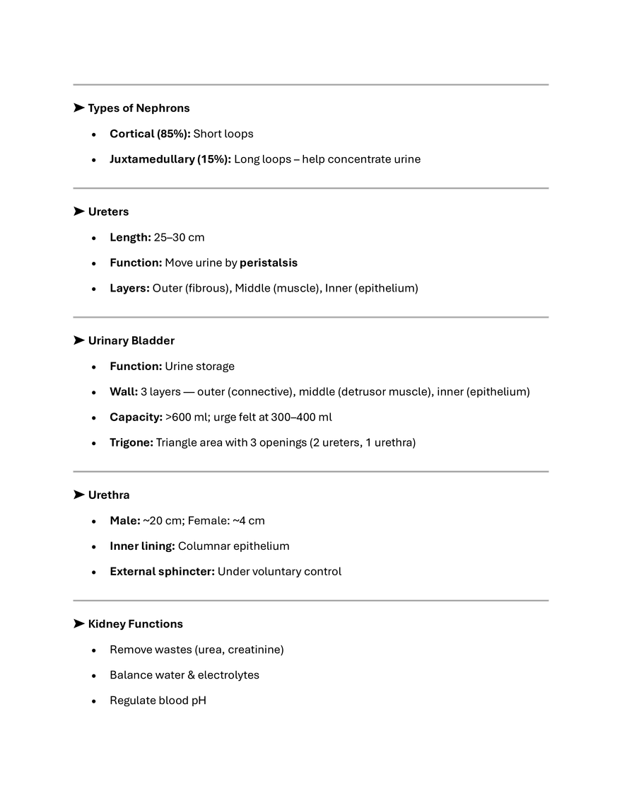 Urinary System (Lecture 30) - Page 2
