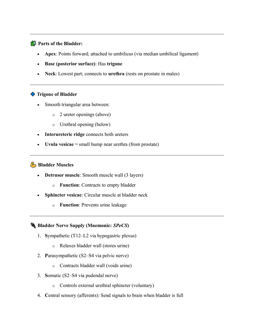 Summary with Muscles & Nerve Supply - Page 5