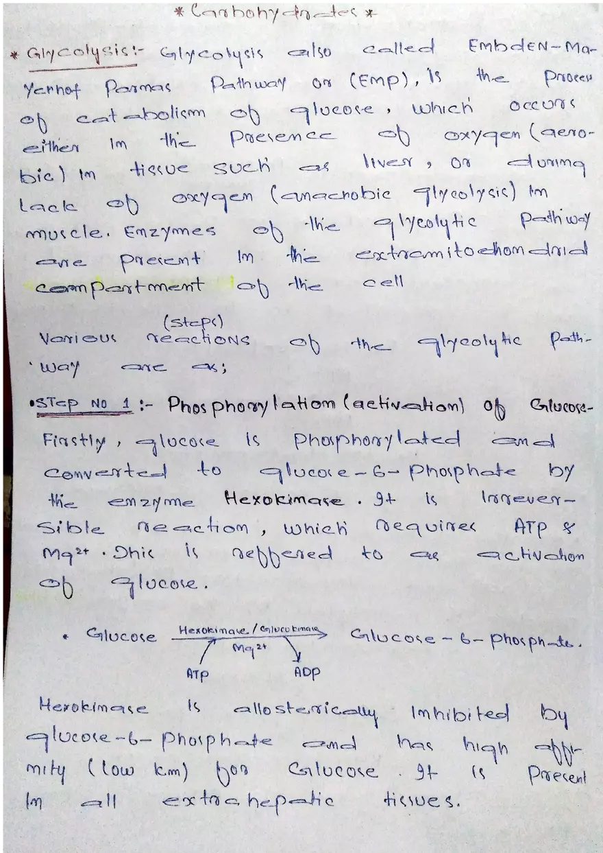 Glycolysis Handwritten Notes - Page 1
