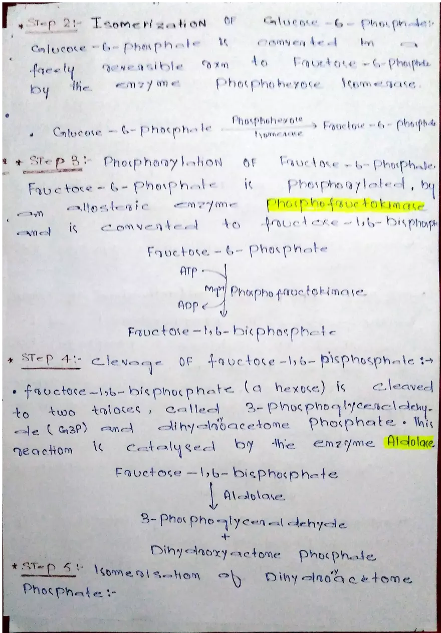 Glycolysis Handwritten Notes - Page 2