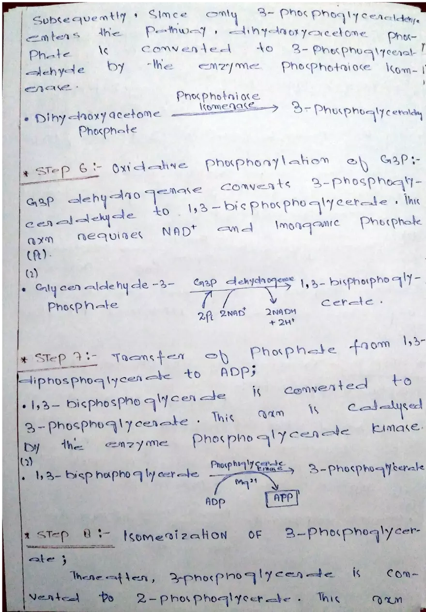 Glycolysis Handwritten Notes - Page 3