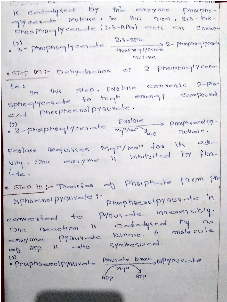 Glycolysis Handwritten Notes - Page 4