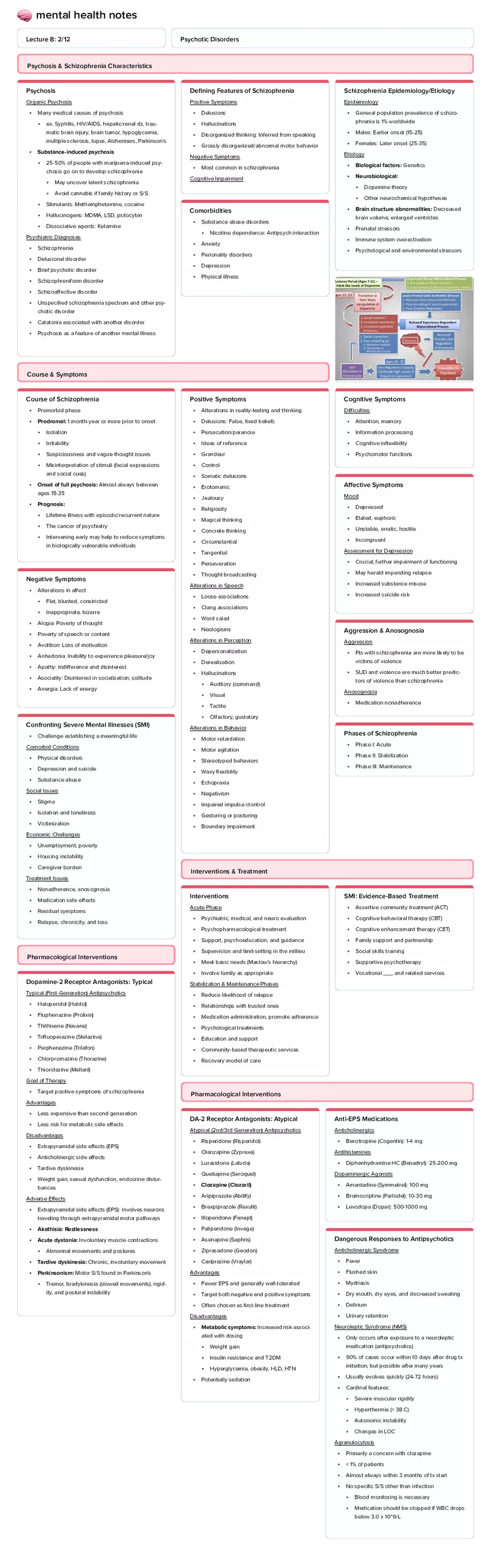 Lecture 8: Psychotic Disorders - Page 1