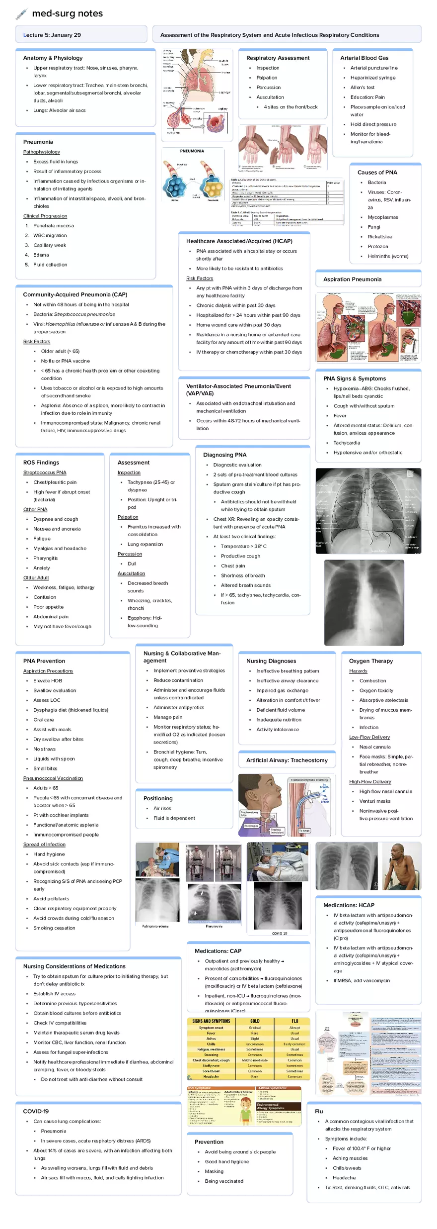 Lecture 5: Assessment of the Respiratory System - Page 1