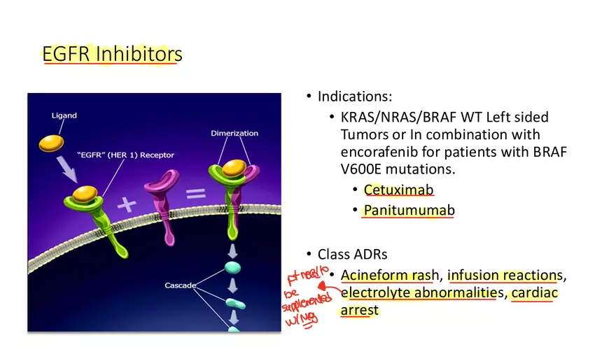 Colorectal Cancer Learning Materials - Page 16