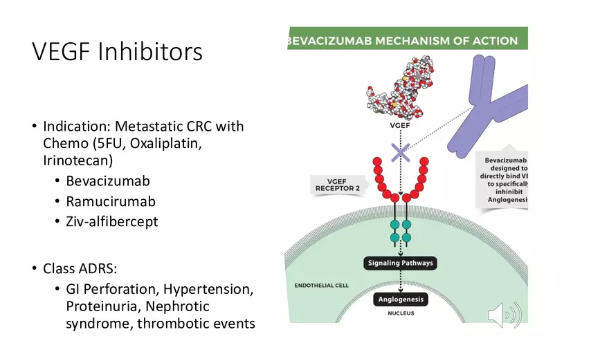 Colorectal Cancer Learning Materials - Page 23