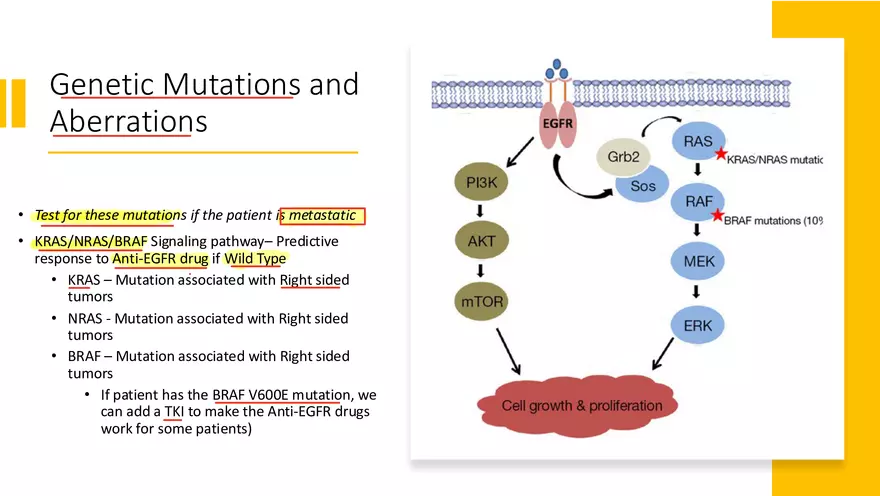Colorectal Cancer Learning Materials - Page 32