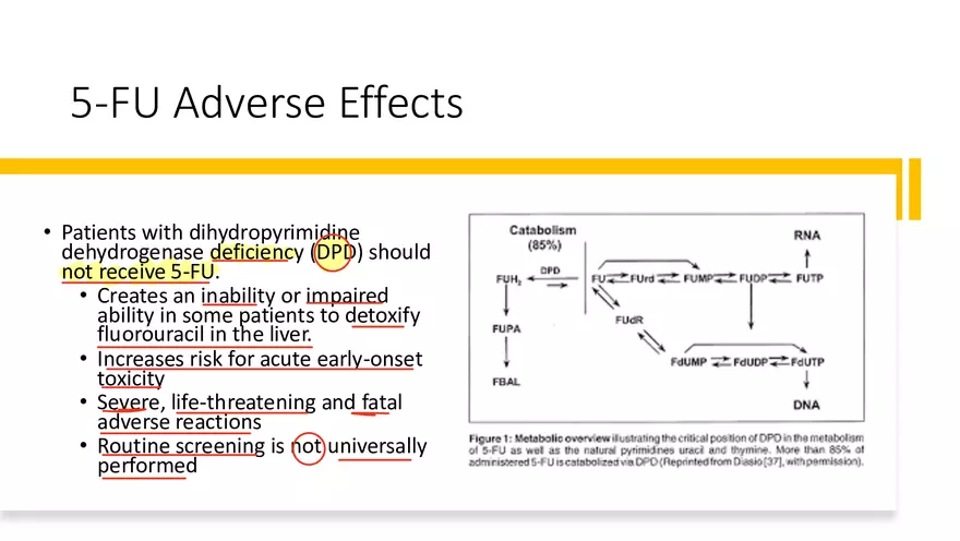 Colorectal Cancer Learning Materials - Page 4