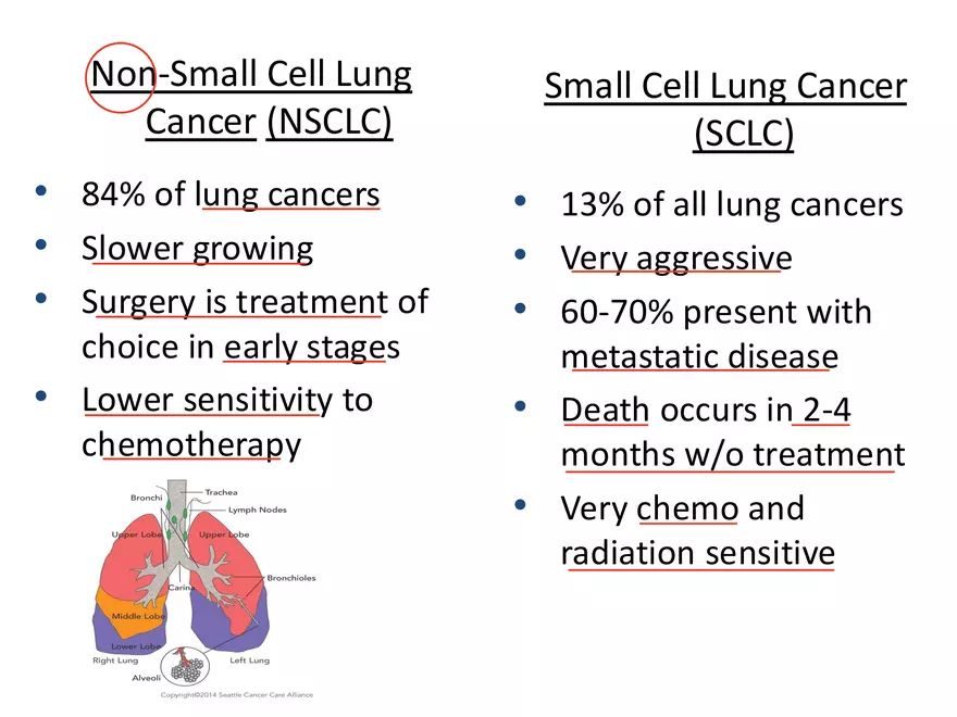 Lung Cancer Study Guide - Page 57