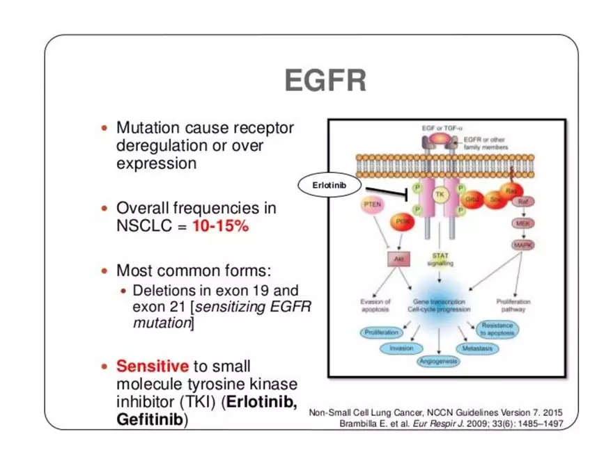 Lung Cancer Study Guide - Page 62