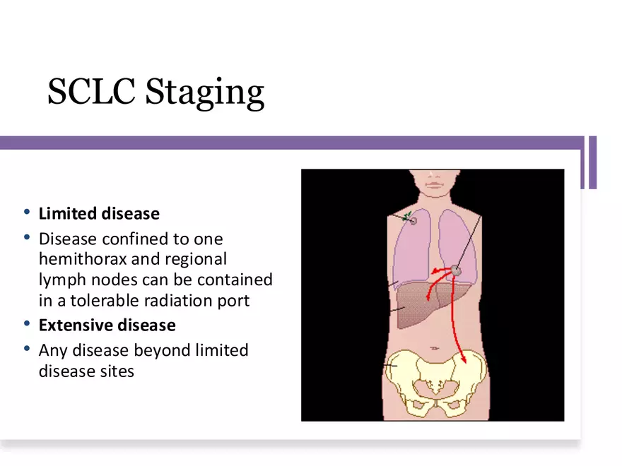 Lung Cancer Study Guide - Page 4