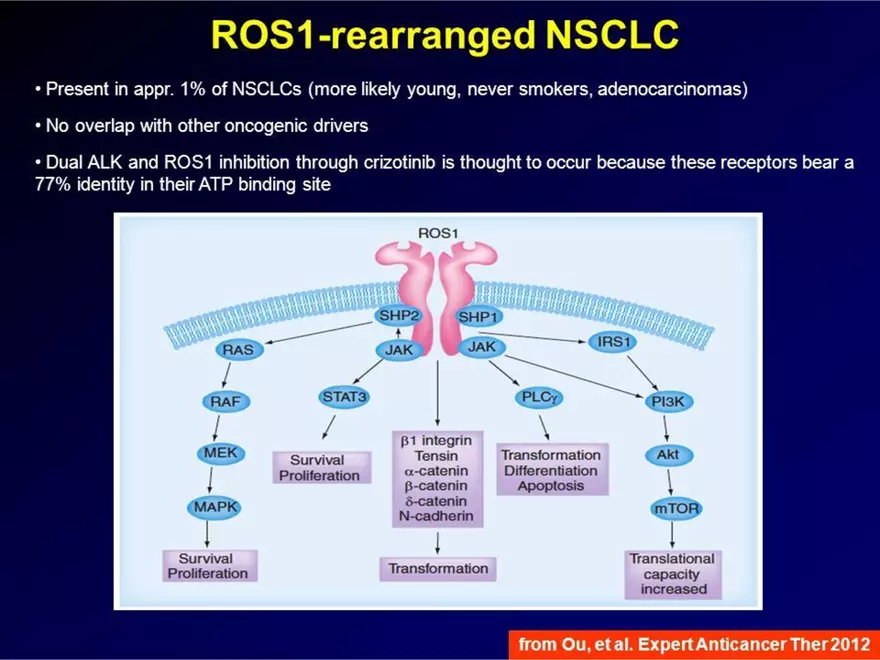 Lung Cancer Study Guide - Page 72