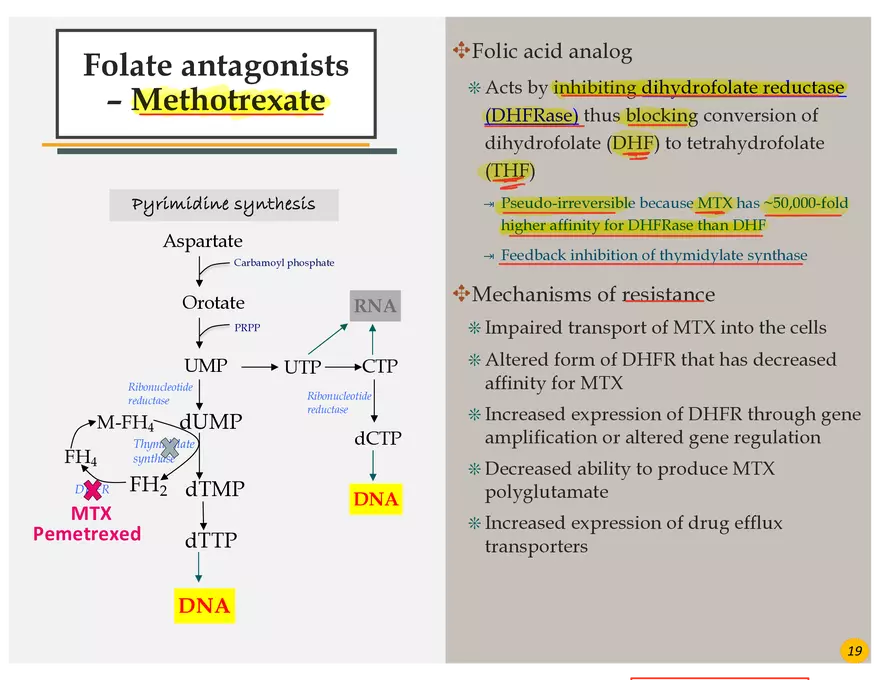 Colorectal Cancers Study Presentation - Page 7