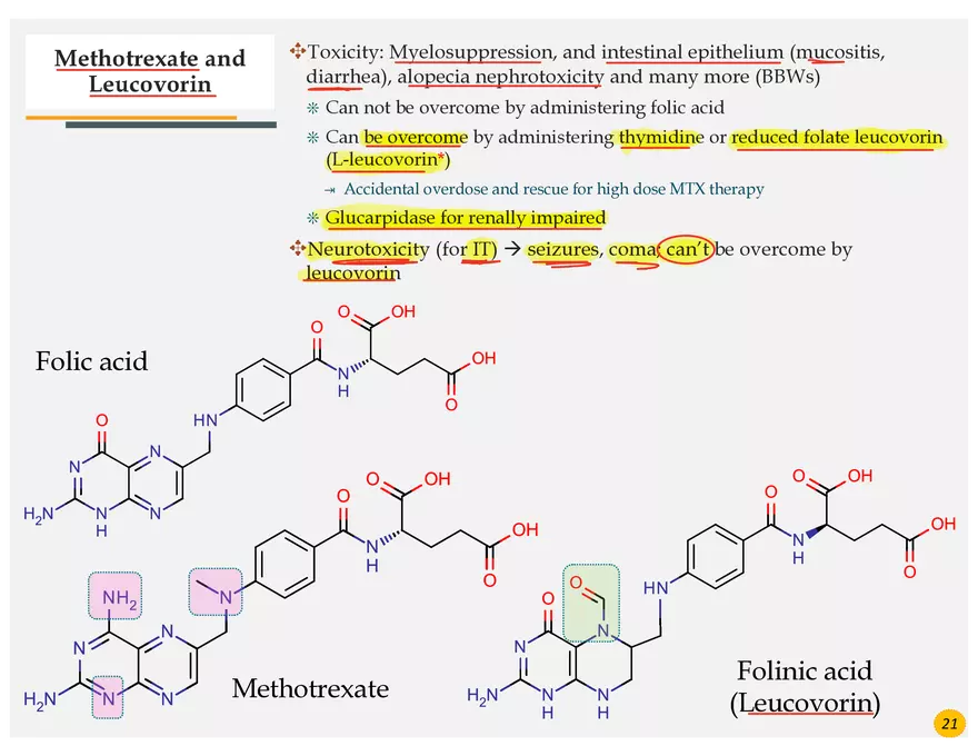 Colorectal Cancers Study Presentation - Page 9