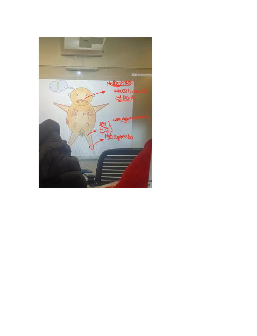 Colorectal Cancers Study Presentation - Page 10