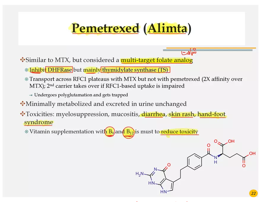 Colorectal Cancers Study Presentation - Page 11