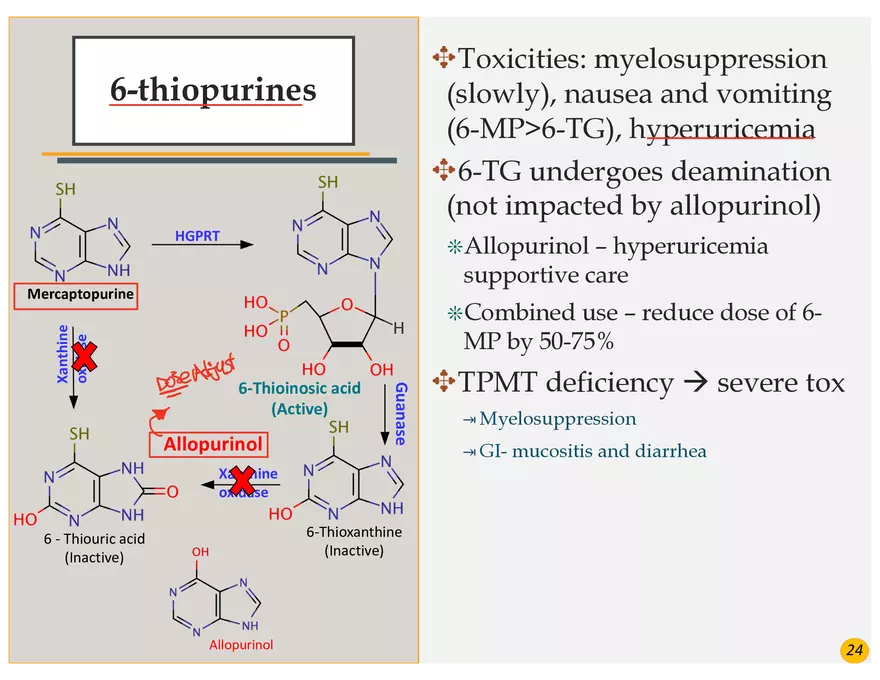 Colorectal Cancers Study Presentation - Page 14