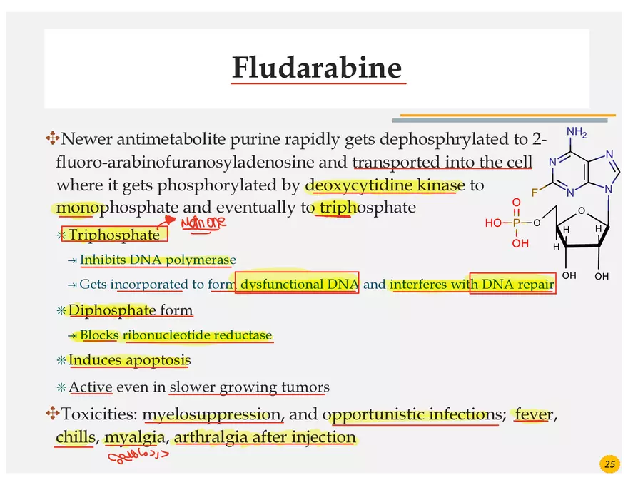 Colorectal Cancers Study Presentation - Page 15