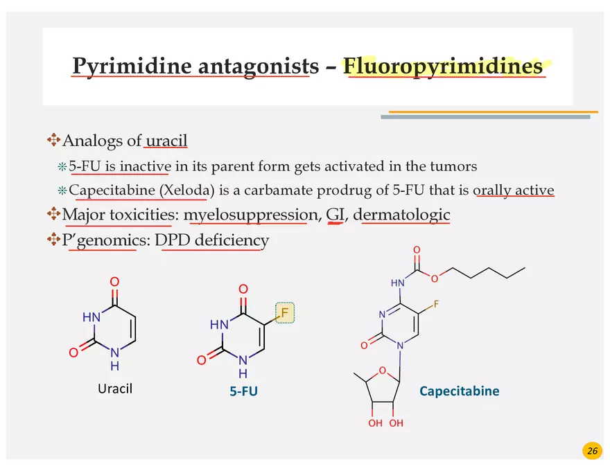 Colorectal Cancers Study Presentation - Page 16
