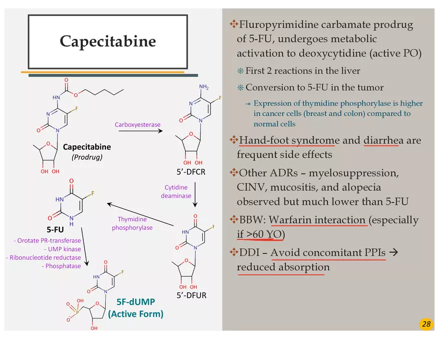 Colorectal Cancers Study Presentation - Page 18
