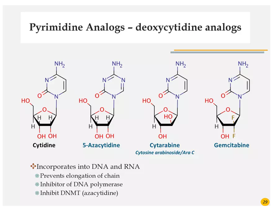 Colorectal Cancers Study Presentation - Page 19