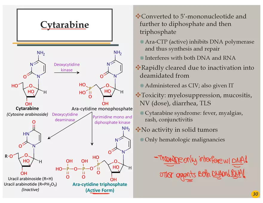 Colorectal Cancers Study Presentation - Page 20